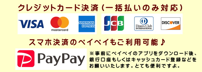 湘南ひらつか整体院では各種クレジットカード＆スマホ決済・PAYPAY利用可能です（一括払いのみ対応）