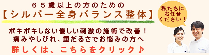 65歳以上の方のための【シルバー全身バランス整体】